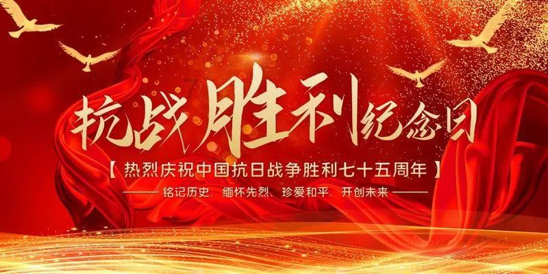 新春走基层丨灵台：蔬菜棚里春意浓
